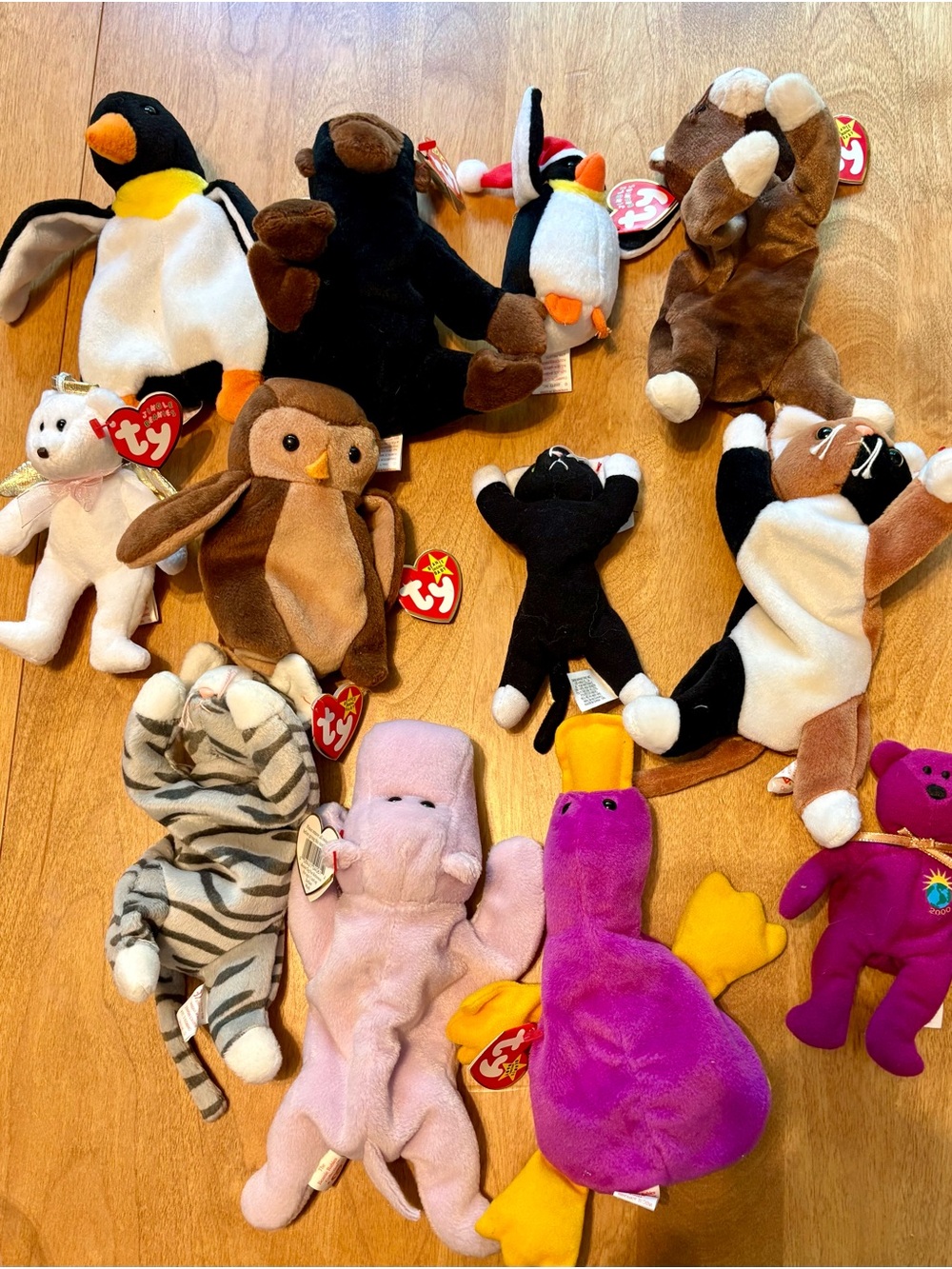 Ty Plush Beanie Baby Mix